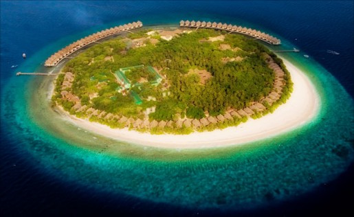 Cinnamon Island Alidhoo