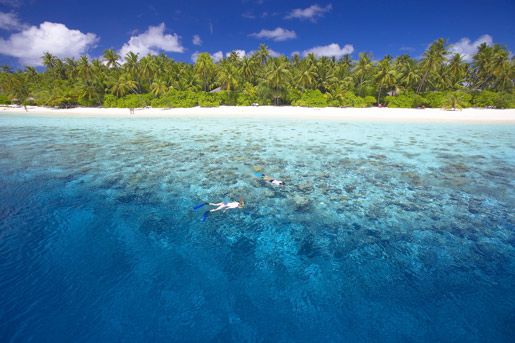 Filitheyo Resort reef snorkeling