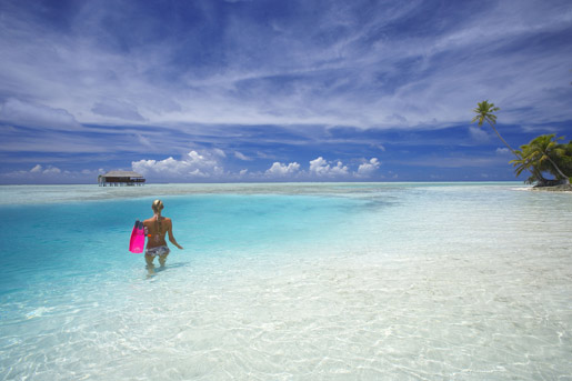 medhufushi island resort maldives snorkeling